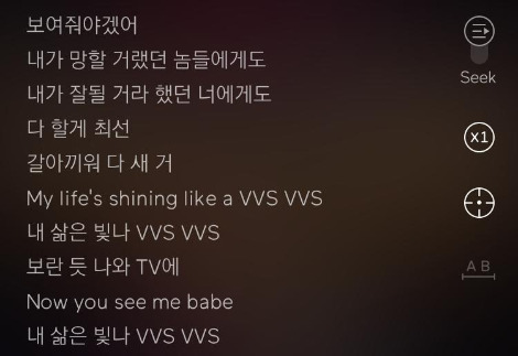 vvs lyrics